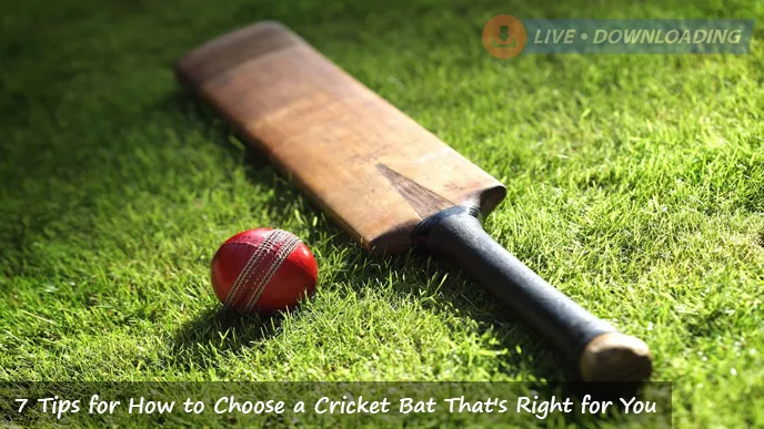 7 Tips for How to Choose a Cricket Bat That's Right for You