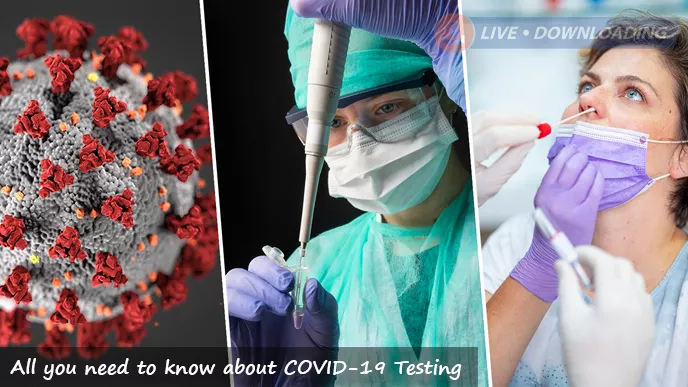 All you need to know about COVID-19 Testing - LD