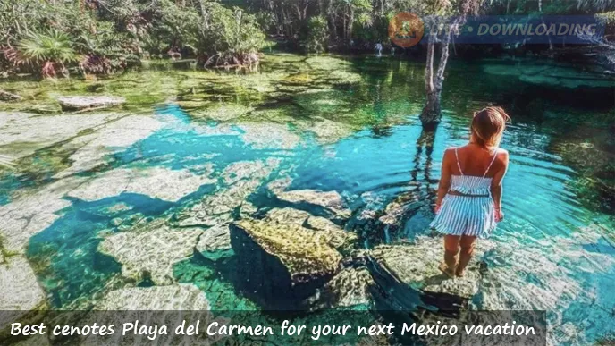 Best cenotes Playa del Carmen for your next Mexico vacation