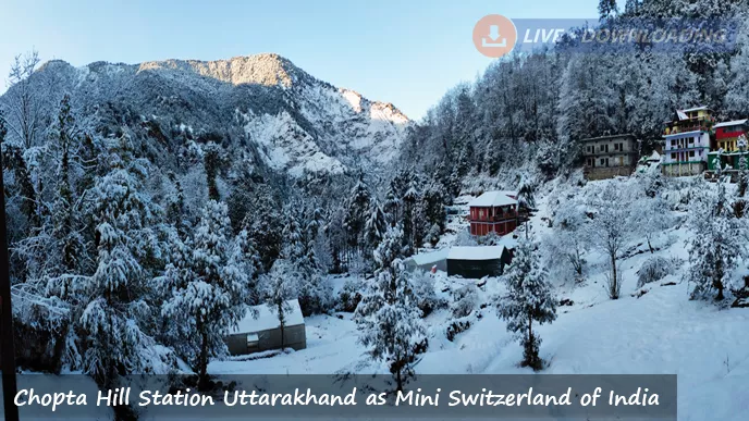 Chopta Hill Station Uttarakhand as Mini Switzerland of India - LD