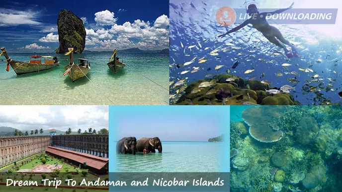 Dream Trip To Andaman and Nicobar Islands
