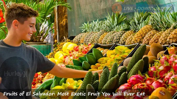 Fruits of El Salvador: Most Exotic Fruit You Will Ever Eat