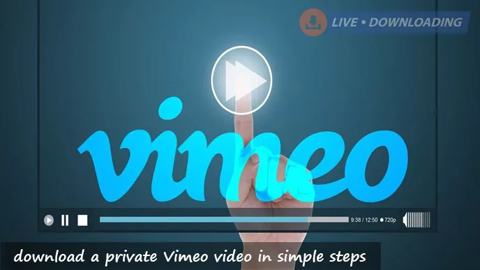 How to download a private Vimeo video? - LD