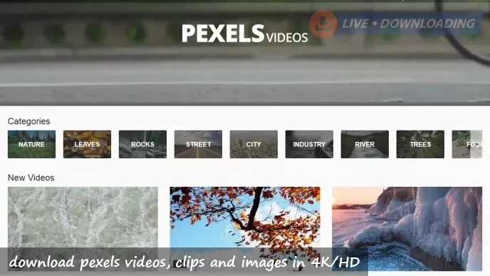 How to download pexels videos, clips and images in 4K/HD?