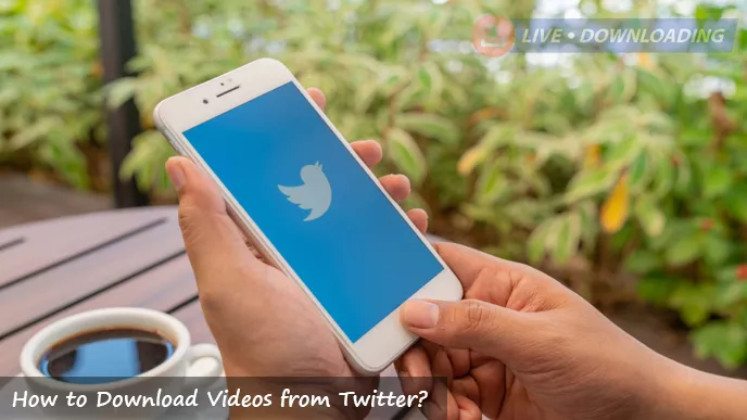 How to Download Videos from Twitter? - LD