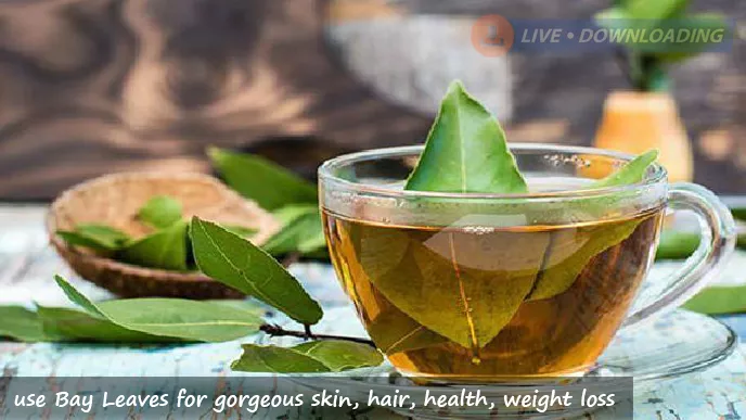 How to use Bay Leaves for gorgeous skin, hair, health, weight loss?
