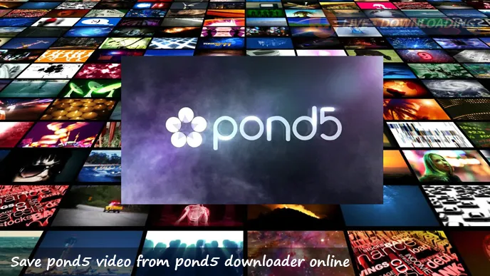 Save pond5 video from pond5 downloader online - LD