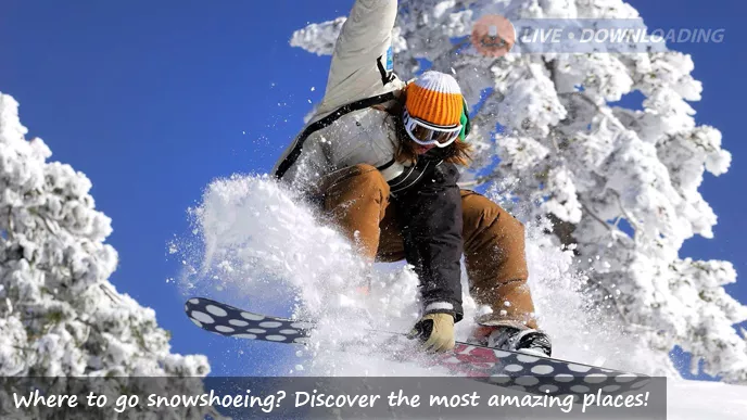 Where to go snowshoeing? Discover the most amazing places!