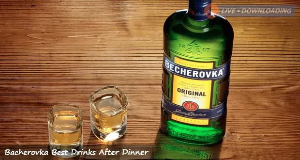 Bacherovka Best Drinks After Dinner - Livedownloading