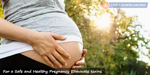For a Safe and Healthy Pregnancy Eliminate toxins - LiveDownloading