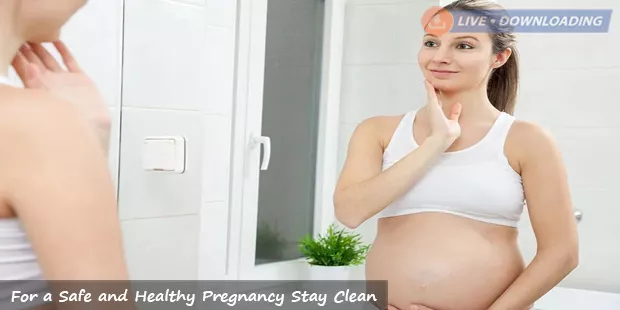 For a Safe and Healthy Pregnancy Stay Clean - LiveDownloading