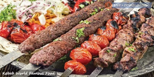 Kebab World Famous Food - Livedownloading