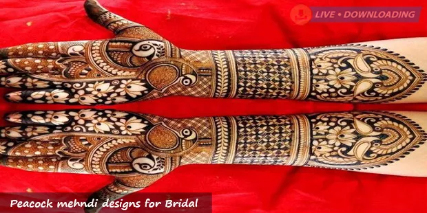 Peacock mehndi designs for Bridal - LiveDownloading