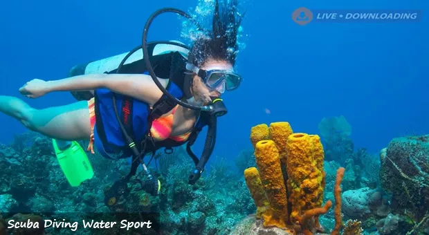 Scuba Diving Water Sport - LiveDownloading