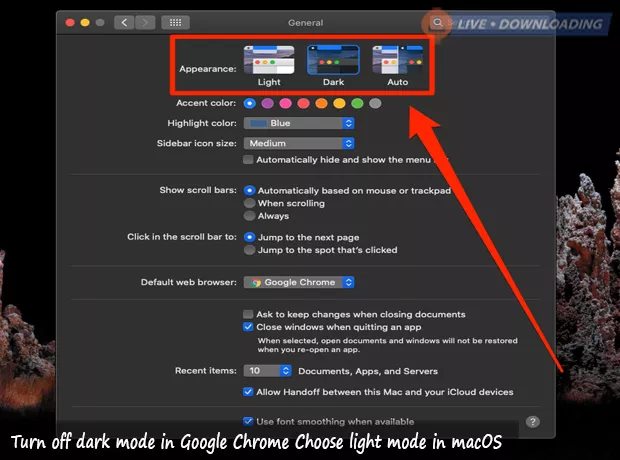 Turn off dark mode in Google Chrome Choose light mode in macOS